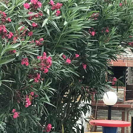 Maria Apartamento