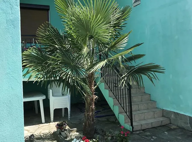 Maria *